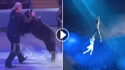 فيديو لعنات تلاحق سيرك أوكرانيا: طفلان يسقطان من علو ودب يهاجم مدربه