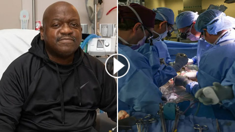 وفاة أول متلق لكلية خنزير بعد شهرين من الجراحة.. فيديو وصور