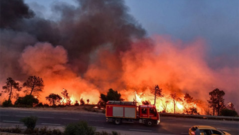 حرائق الغابات تُدهور جودة الهواء في الولايات المتحدة