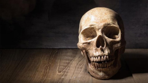 أغرب 10 أشياء تمت مصادرتها في المطارات