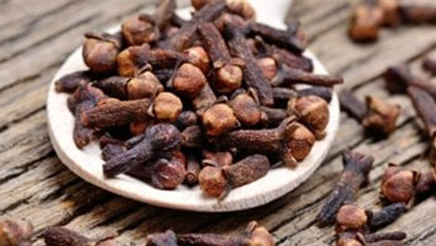 فوائد مضغ القرنفل.. مسكن قوى للألم ويخفف التوتر
