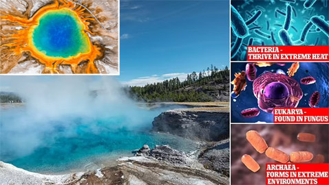 اكتشاف فيروسات ضخمة عمرها 1.5 مليار عام.. والعلماء يطمئنون