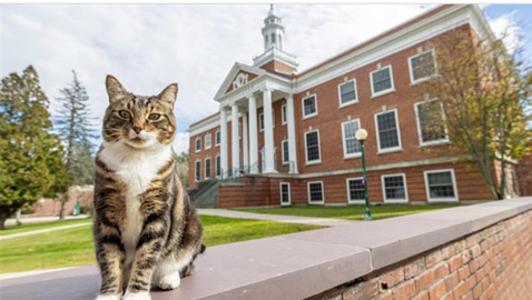 هر يحصل على دكتوراه فخرية من جامعة أمريكية.. ما القصة؟