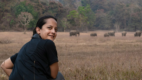 امرأة تساعد البشر والنمور على التعايش جنبًا إلى جنب في الهند.. شاهد كيف