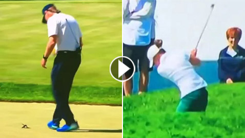 فيديو لا يصدق للاعبة غولف سيئة الحظ.. اصطادت طائرا بكرتها!