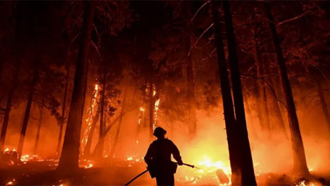 خلال عقد.. حرائق كاليفورنيا تسببت بوفاة 52 ألف شخص