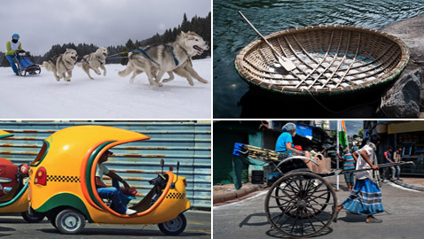 زلاجات الكلاب والأشجار.. إليكم أغرب 10 وسائل لنقل البشر حول العالم