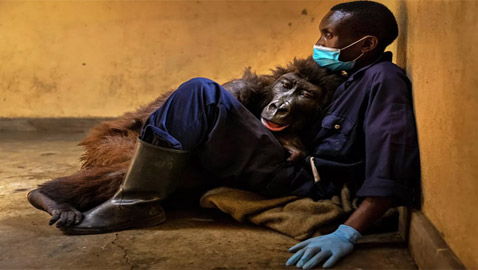 علماء يحددون ثاني أخطر سبب للوفاة المبكرة في العالم