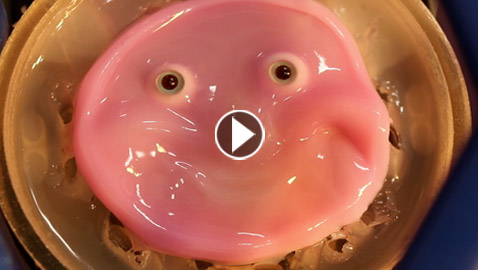 فيديو: ابتكار روبوت يمكنه أن يبتسم مثل الإنسان