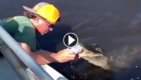 فيديو طريف: رجل يستخدم تمساحا لفتح علبة مشروب