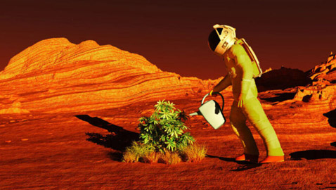 علماء يكتشفون طحلب قد يساعد رواد الفضاء في استعمار المريخ