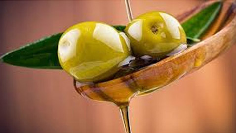 مركب طبيعي من الزيتون ينقص الوزن وينظم سكر الدم