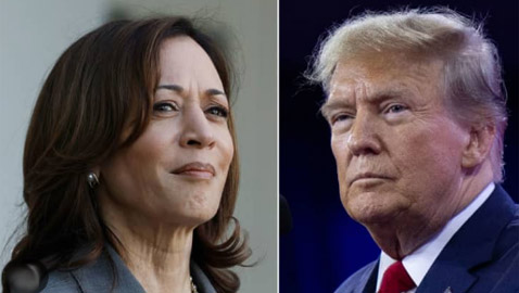 هاريس تختار تيم والز نائبًا لها.. وحملة ترامب تتنفس الصعداء لهذا السبب