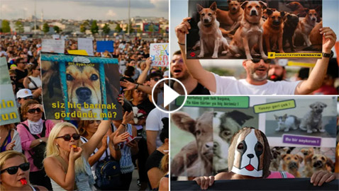 الآلاف من الأتراك يحتجون على قانون 