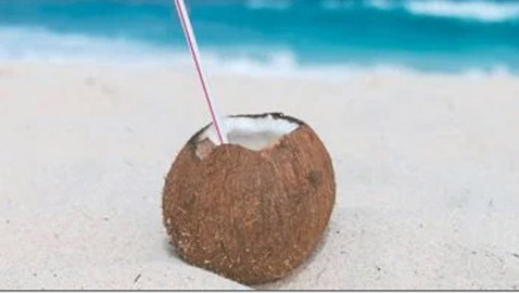 اليوم العالمي لجوز الهند.. اعرف فوائده للصحة وضغط الدم