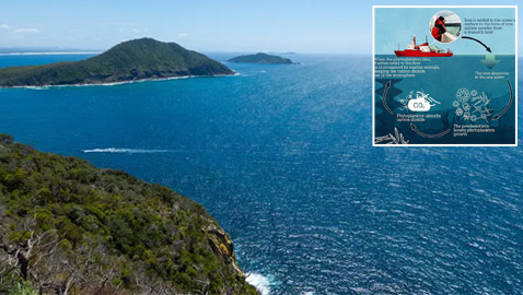 خطة لتعبئة المحيط الهادي بالحديد.. بهدف إنقاذ البشرية!