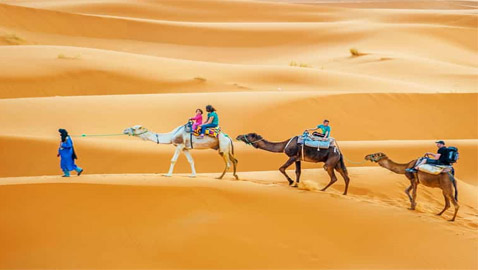 من مصر إلى المغرب.. اكتشفوا أكثر التجارب متعة في صحاري إفريقيا