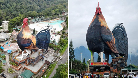 فندق بالفلبين يحقق رقما قياسيا كأكبر مبنى بالعالم على شكل دجاجة