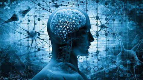 اختراق طبي.. تحفيز الدماغ أعاد لمريضين بالشلل القدرة على المشي