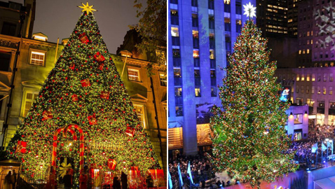 صور رائعة.. أجمل أشجار الميلاد حول العالم