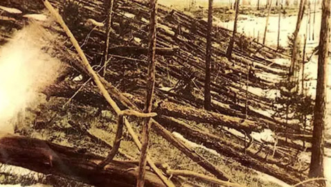 بهذا العام.. شهدت روسيا حدثاً غريباً أحرق 80 مليون شجرة