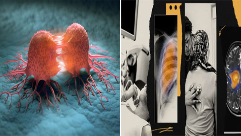 �����: 6 ����� �� ������� ��� ������ ���� ����