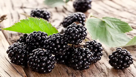 الذهب الأسود.. فاكهة سحرية لعلاج الأمراض