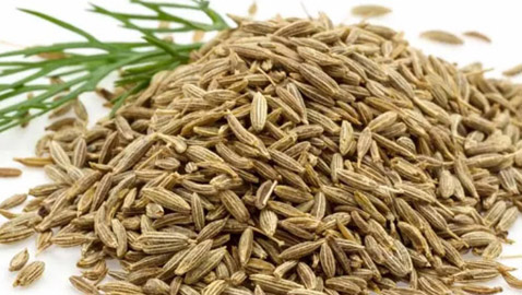 يسحق الكوليسترول ويقي من السرطان.. نوع من التوابل يبهر الباحثين بتأثيراته