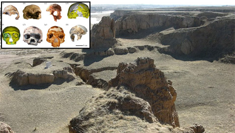 ������ ����� ��� ���� �� ����� ��� ���� ������� �������