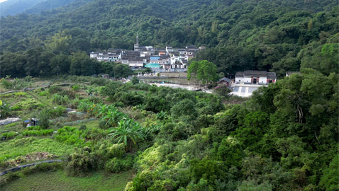 قرية زراعية صينية عمرها 300 سنة.. لِمَ يعود إليها سكانها بعد هجرها؟