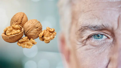 علميا.. هذا أفضل نوع من المكسرات لمكافحة الشيخوخة