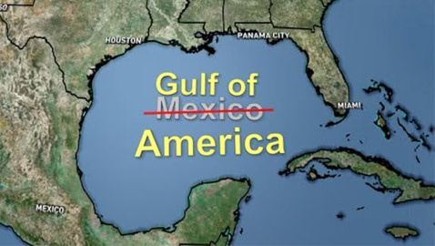 غوغل تغيَر اسم 