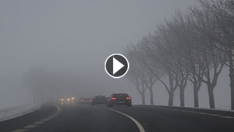 فيديو: ضباب غامض برائحة كيميائية غريبة في فلوريدا يُثير التكهنات