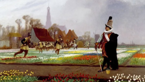 زهرة تسببت بكارثة اقتصادية في أوروبا.. عام 1637