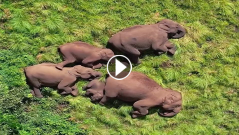 ���� ���� ����� ����� ����� ����� �� ���� ���� ��� ��� ����� ������