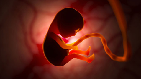 إنجاز طبي.. إنقاذ جنين من مرض قاتل قبل ولادته!