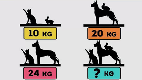 %2 من الأذكياء قادرون على حل اللغز بـ6 ثوان.. فهل أنت منهم؟