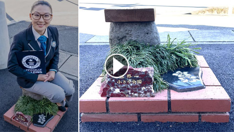 تُعادل مساحتها 4 أوراق فقط.. هذه أصغر حديقة بالعالم في اليابان