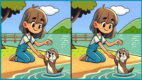 هل أنت سريع الملاحظة؟.. اكتشف 3 اختلافات بأقل من 31 ثانية