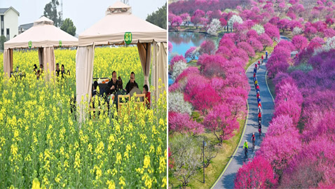 صور مميزة تُظهر سحر الربيع حول العالم