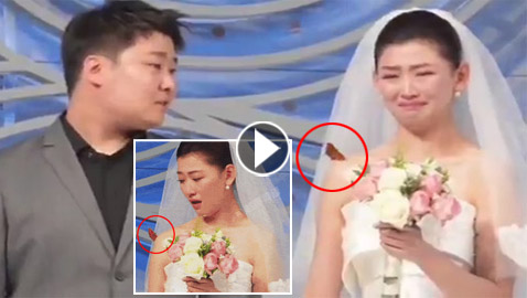 فيديو: صيني وعد ابنته قبل وفاته بزيارتها فظهر كفراشة بحفل زفافها!