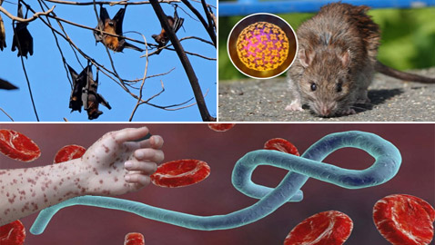 ��� ����� ��������� �� ��������� ��� ����ѿ