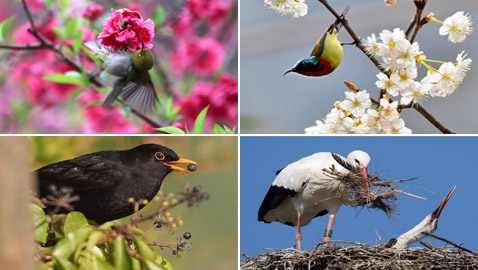 ��� �����: ����� ������ ����� �� ���� �����