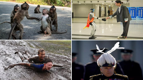 إليكم أطرف الصور لأبرز أحداث العالم لهذا الأسبوع