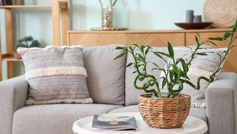 ���� ������� �� �����.. ��� �� ���� ��� ������