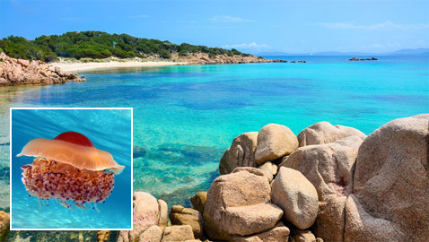 تعرفوا على أروع أسرار وخبايا البحر المتوسط وعالمه المذهل! صور