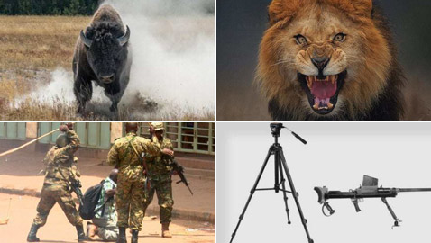 صور كادت تقتل مصوريها الذين خاطروا بحياتهم لالتقاط اللقطة المثالية