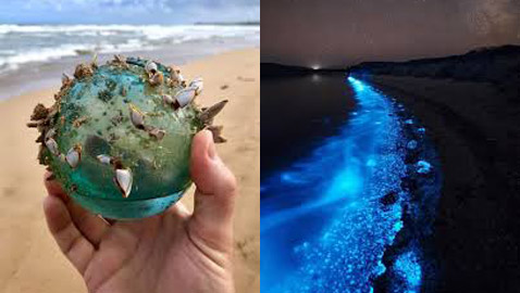 إليكم 8 من أغرب الصور المذهلة التي ستدهشك حتما!