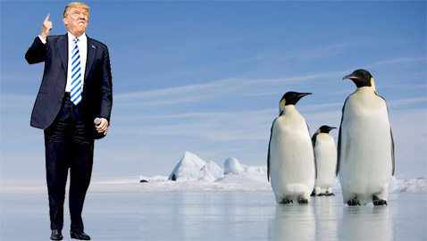 ترامب يفرض رسوماً جمركية على البطاريق