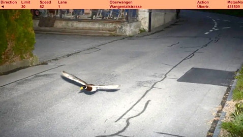 رادار يرصد مخالفة سرعة لـ